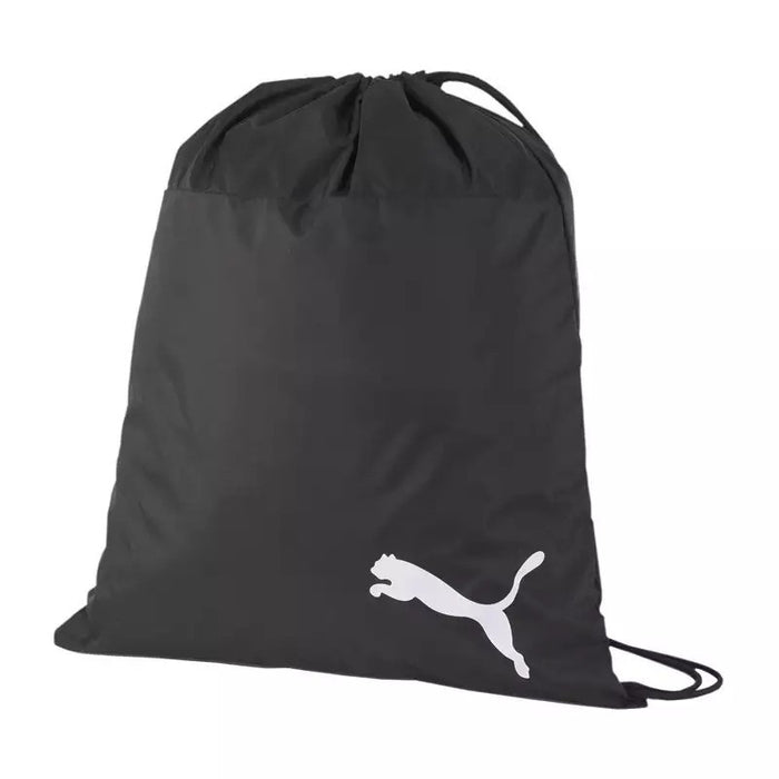 Puma TeamGOAL Shoe Bag