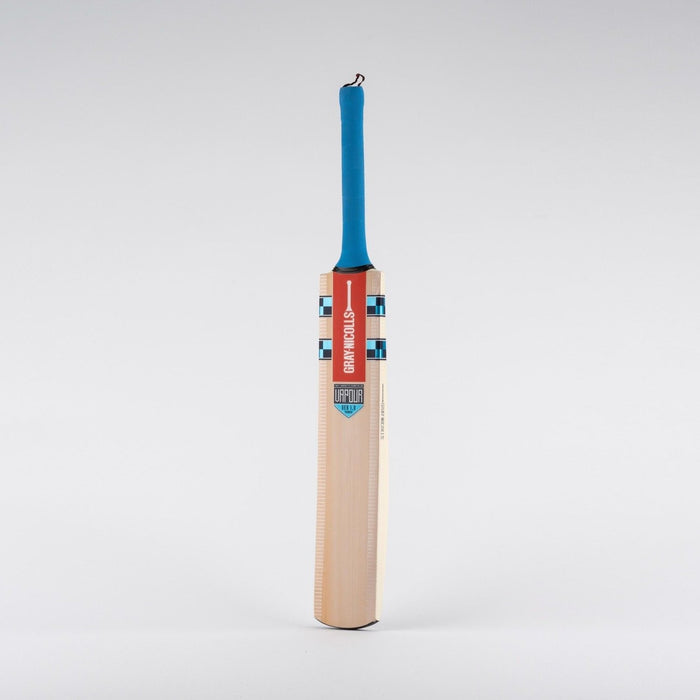 Vapour Thunder Jnr Cricket Bat